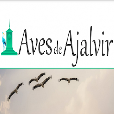 AVES AJALVIR