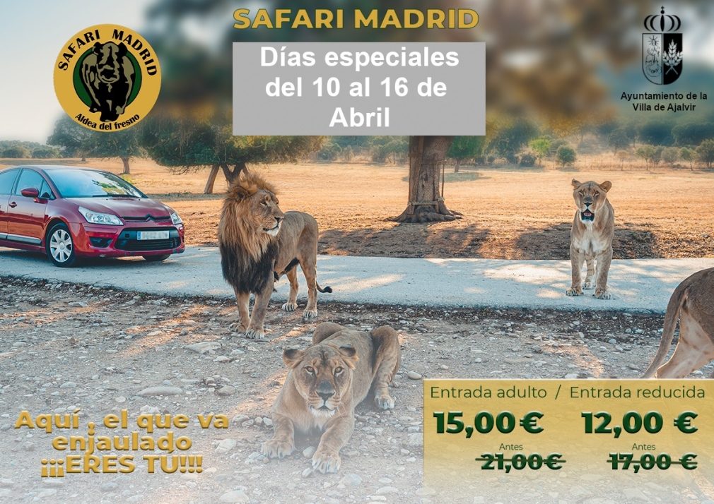 SAFARI MADRID