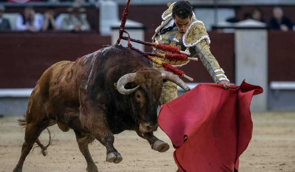 Presentación de la Feria Taurina de San Blas 2019