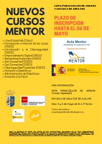 NUEVO CURSO MENTOR