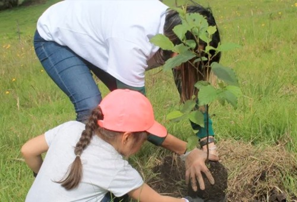 CELEBRACIÓN DÍA DEL ÁRBOL