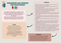 SUBVENCIÓN MENORES CON DISTINTAS CAPACIDADES 2025