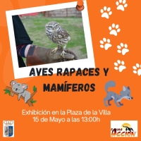 EXHIBICIÓN DE AVES RAPACES Y MAMÍFEROS