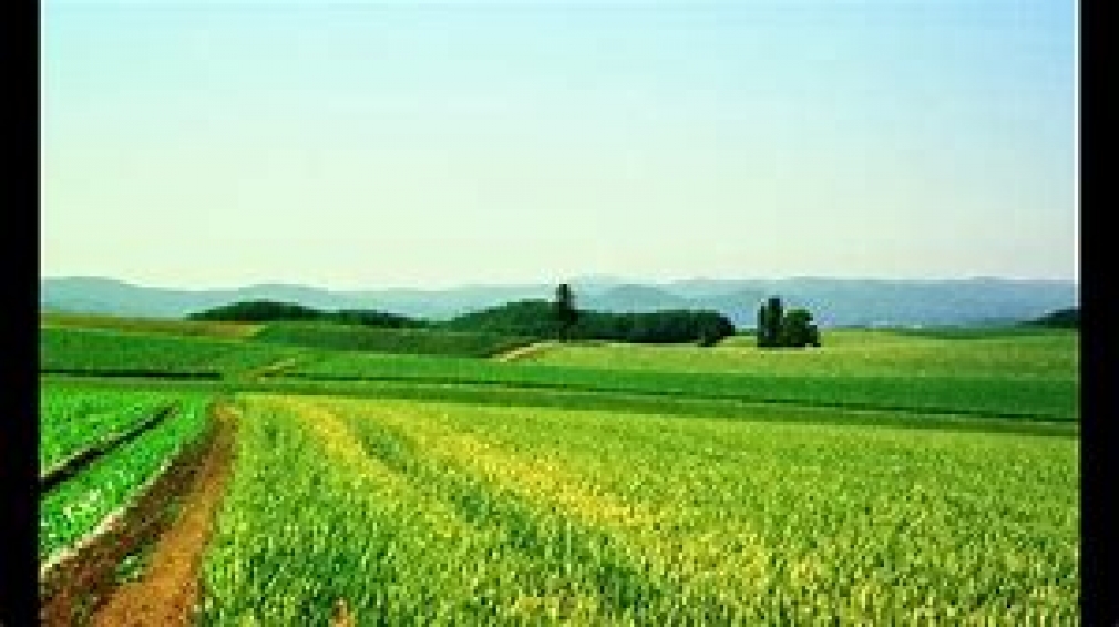 RESOLUCIÓN SOBRE LA REANUDACIÓN DE QUEMAS PARA LA ELIMINACIÓN DE RESIDUOS VEGETALES