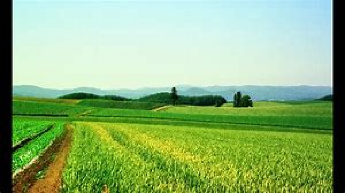 RESOLUCIÓN SOBRE LA REANUDACIÓN DE QUEMAS PARA LA ELIMINACIÓN DE RESIDUOS VEGETALES