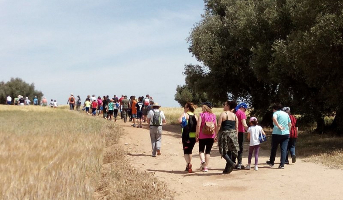 Ruta de San Isidro por los caminos de Ajalvir