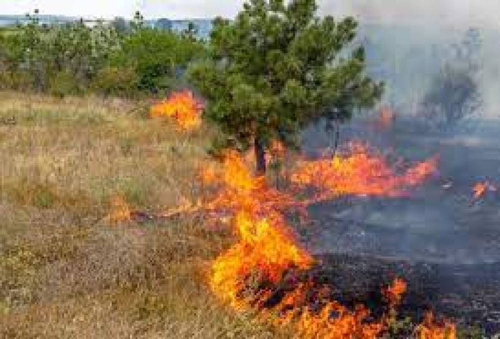 PROHIBIDO EL USO DEL FUEGO