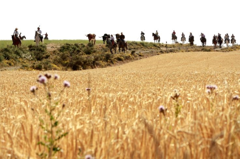 ENCIERRO POR EL CAMPO