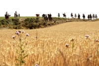 ENCIERRO POR EL CAMPO