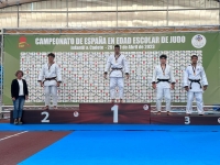 CAMPEONATO DE ESPAÑA DE YUDO