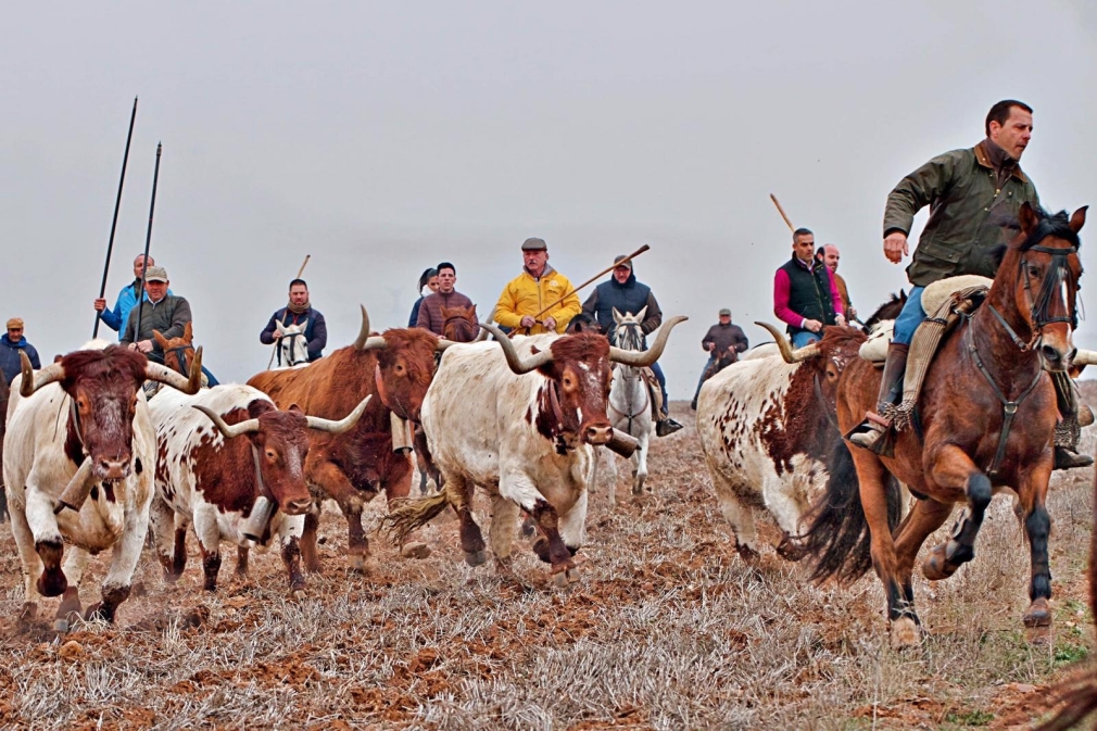 NORMATIVA PARA CABALLISTAS