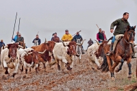 NORMATIVA PARA CABALLISTAS