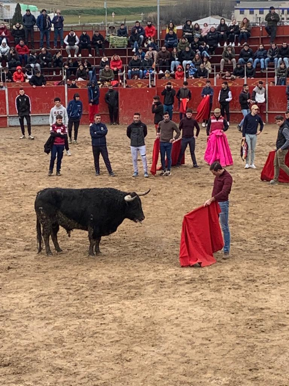 NORMA DE SEGURIDAD PARA CAPEAS Y VAQUILLAS