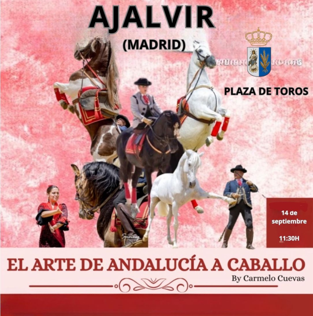 ESPECTÁCULO ECUESTRE FLAMENCO