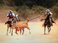 Campeón de España de Acoso y Derribo por Equipos D. José Fernández Arroyo