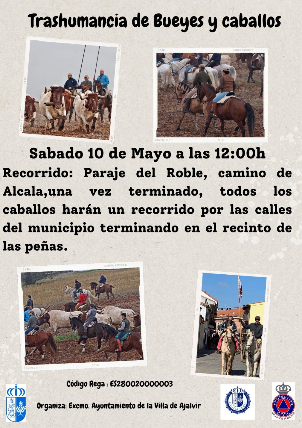 TRASHUMANCIA DE BUEYES Y CABALLOS