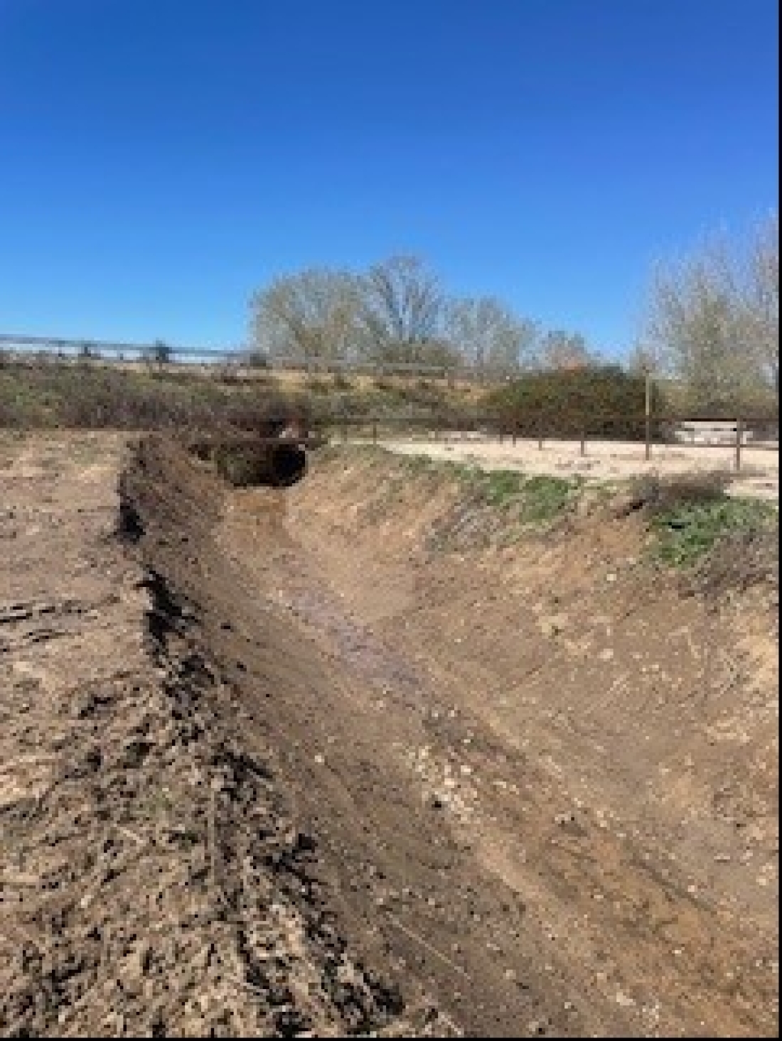 TRABAJOS DE LIMPIEZA EN EL ARROYO DE LA HUELGA