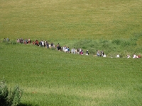 Ruta de San Isidro por los caminos de Ajalvir. Miércoles 15 de Mayo