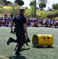 La Policía Local de Ajalvir incorpora nuevo equipamiento y una unidad canina