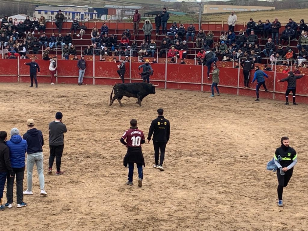 SUSPENSIÓN DEFINITIVA FESTEJOS TAURINOS SAN BLAS 2026