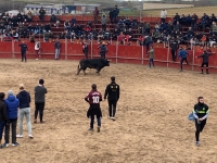 SUSPENSIÓN DEFINITIVA FESTEJOS TAURINOS SAN BLAS 2026