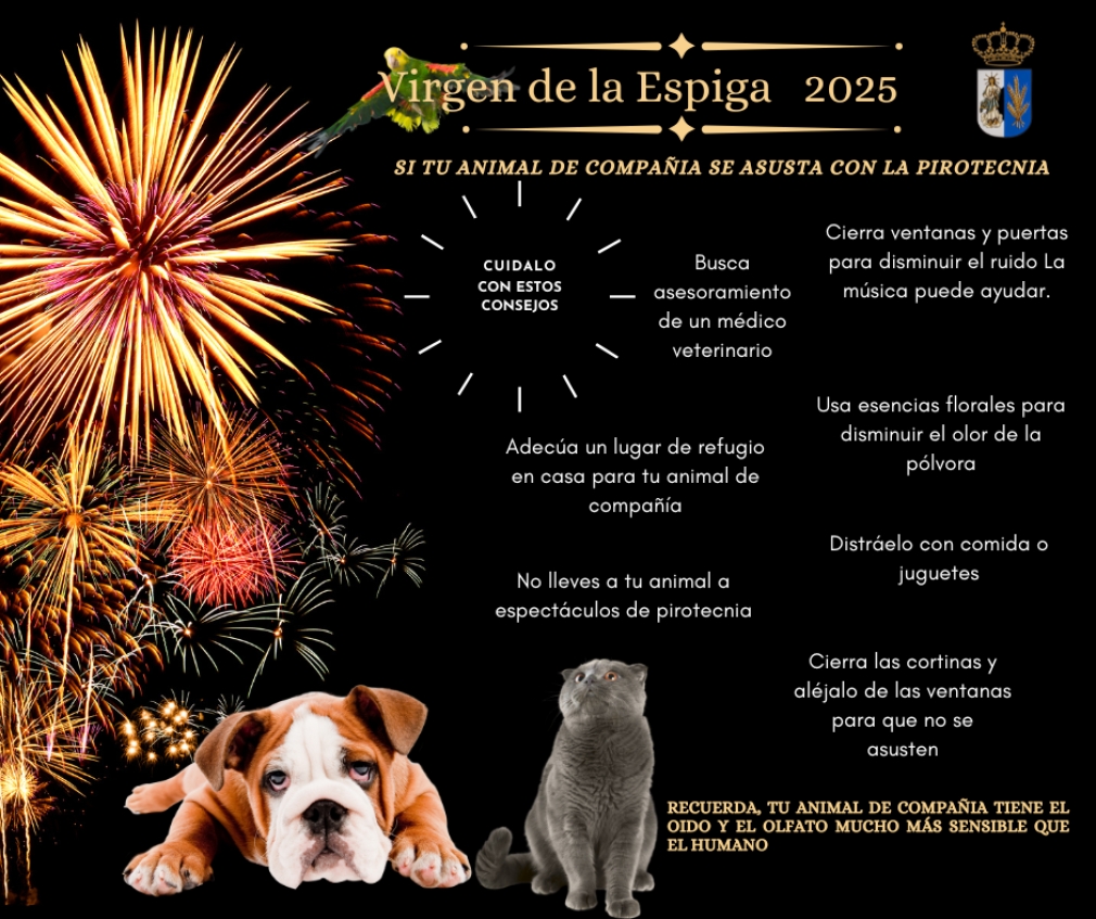 RECOMENDACIONES PARA LAS MASCOTAS